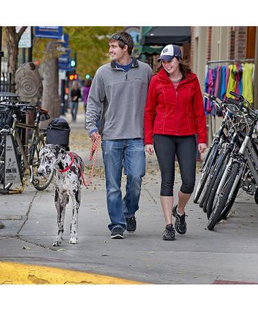 Mendota Pet Green 1/2" X 6' Snap Leash 1/2 " x 6 ' Hunter Green - Buy Online on GoSupps.com