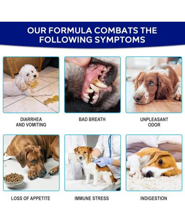 Woof Hound Pre & Probiotics for Dogs 120 Chews Supports Gut & Digestive Health Itchy Skin Healthy Bowel Movement Natural ingredients Allergy Itch Relief For All Breeds - Buy Online on GoSupps.com