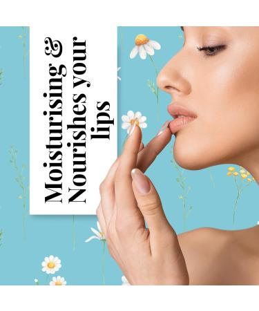 kukubird Hydrating Non-Sticky Flavoured 3pc Lipbalm Set For Dry Lips Long Lasting Moisturizing Lip Blams-Tropical - Buy Online on GoSupps.com