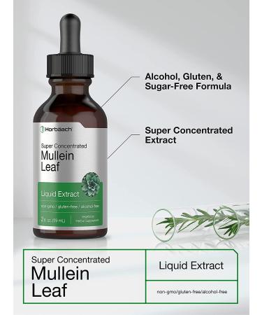 Mullein Leaf Liquid Extract 2 fl oz | Alcohol-Free, Vegetarian, Non-GMO & Gluten-Free | Horbaach - Buy Online on GoSupps.com