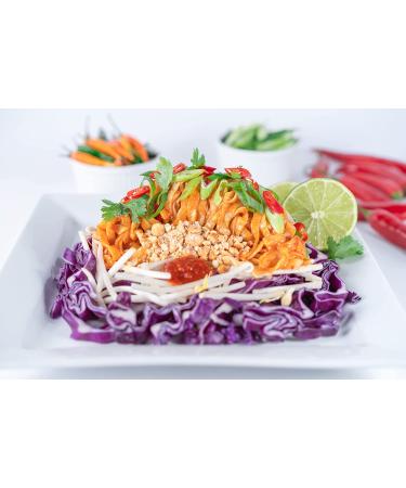 WELL LEAN Organic Fettuccine - Premium Shirataki Konjac Pasta - USDA Organic, Plant Based, Keto Friendly, Zero Net Carb, Non GMO - 6 Pack 57.1 oz - Buy Online on GoSupps.com
