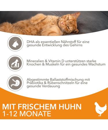 IAMS Junior Dry Cat Food with Chicken for Kittens 1-12 Months - 10 kg Pack | Best Nutrition for Your Growing Kitten - Buy Online on GoSupps.com