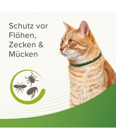 Beaphar Tick and Flea Protection Collar for Cats - 4 Months Defense Against Ticks Fleas & Mosquitoes - 35 cm Reflective Silver/Black - Safe for Cats 12 Weeks+ - Buy Online on GoSupps.com