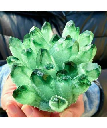 Beautiful Green Quartz Crystal Cluster Specimen Suitable for Home HOMEZHOU (Size : 800-900g) - Buy Online on GoSupps.com