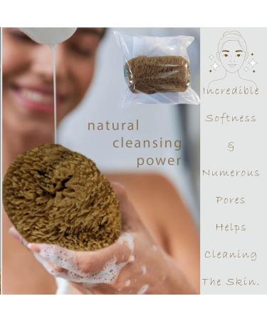 Natural Grass Sea Sponge for Bathing - Large Size | Shower Sponge for Adults and Children - Pack of 1 - Buy Online on GoSupps.com