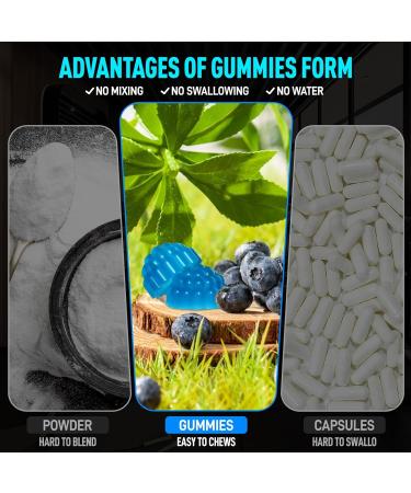 NATISLAND HMB and L-Leucine Gummies HMB and Leucine Amino Acid Supplements for Men & Women Muscle Mass & Strength Muscle Recovery & Health Sugar-Free Vegan Blueberry Flavor 60 Count - Buy Online on GoSupps.com