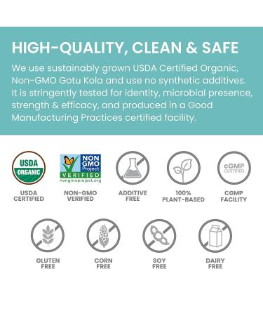 Himalaya Organic Gotu Kola 45 Day Supply - Herbal Nootropic Supplement with Adaptogens for Energy Focus Memory and Calming Relaxation - Vegan Non-GMO Gluten Free 650 mg 90 Caplets - Buy Online on GoSupps.com