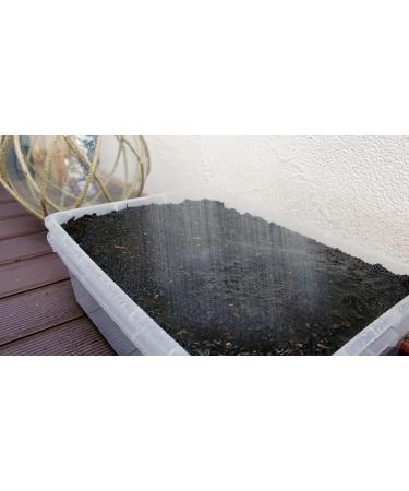 Glaeser Easygreen Cat Grass 1.20 m | Dietary Supplements for Cats | Hairball Relief & Stomach Cleaning for Indoor Cats - Buy Online on GoSupps.com