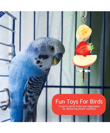 3PCS Stainless Steel Bird Skewers - Foraging Food Holder for Parrots & Small Animals - 20x16x12cm - Buy Online on GoSupps.com