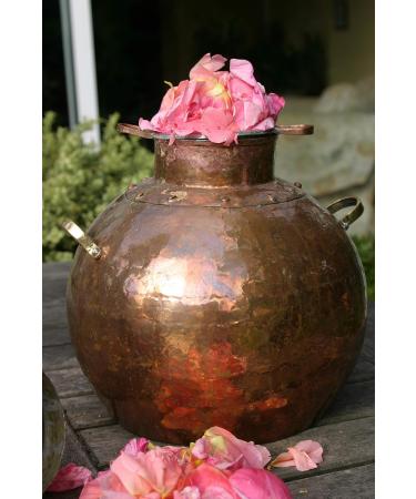 Organic Pure & Natural Rosewater | Highest 'A' Grade| Steam distilled from Rose Petals in the 'Valley of the Roses'| Balances the skin's p.h. balance anti-inflammatory anti-allergic and softens skin | Soothing stimulates regeneration hydrates refreshes &  - Buy Online on GoSupps.com