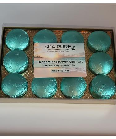 Spa Pure Aromatherapy Shower Bombs: Destination Shower Steamers  Rejuvenating New Scents  Tablets  Bomb  Bath Melts for Women  Men  All Natural (12 Count) Pack of 1 20.0 ounces