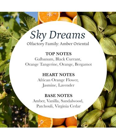 PuroSentido Sky Dreams Aroma Oil Citrus Juniper & Rosewood Essential Oil Blend Luxury Hotel Scent for Diffuser and Humidifier (10 ml/0.33 Fl Oz) - Buy Online on GoSupps.com