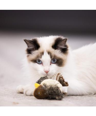 Suhaco Interactive Cat Feather Toy with Melody Chaser for Indoor Cats - Funny Squeak Kitten Toy for Boredom Relief - Buy Online on GoSupps.com