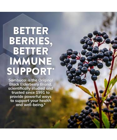 Sambucol Black Elderberry Day & Night Relief - Feel Better Faster, Non-Drowsy Daytime Relief for Men & Women, Restful Sleep for Adults, Melatonin-Free - 24 Capsules, 1 Pack - Buy Online on GoSupps.com