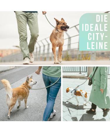Ne & No Touting Training Leash for Dogs | 1.2m Robust Braided Rope Leash | Sage Green Dog Leash with Hand Loop - Buy Online on GoSupps.com