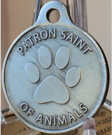 Saint Francis of Assisi Pet Protection Pewter Charm - RecoveryChip for Dogs and Cats - Buy Online on GoSupps.com