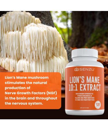 Organic Lions Mane Extract 12 000mg 30% Polysaccharides - Max Strength Mushroom Powder Extract - Natural Immunity & Source of Antioxidants | 120 Capsules | Made in Canada - Buy Online on GoSupps.com