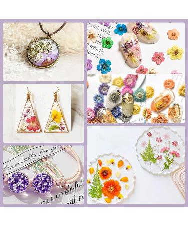 Dried Pressed Flowers 170+ Pcs - Bulk Natural Floral Fillers for Resin Crafts & Jewelry - 5 Color Set - Buy Online on GoSupps.com