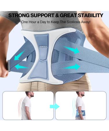 Buy NEENCA Back Support Brace - Adjustable Lumbar Belt for Pain Relief Sciatica & Herniated Disc - Medium Navy Blue - International Shipping Available - Buy Online on GoSupps.com