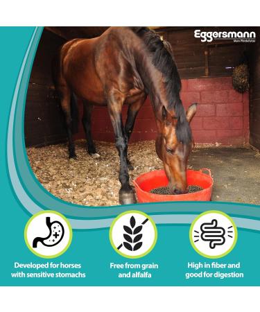 Eggersmann Mein Pferdefutter Vitalize Gastro Plus E Stomach Sensitive Horse Food Grain Free with Magnesium for Muscles and Ne - Buy Online on GoSupps.com