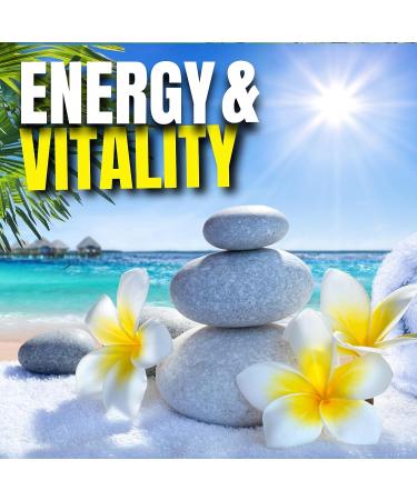 Omnitrition OmniBody Omni Sport Berry Arginine/Choline Drink Mix 14.8 oz Dietary Supplement - Buy Online on GoSupps.com