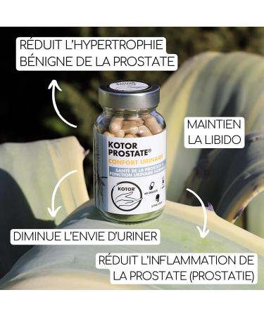 KOTOR PROSTATE | Urinary Disorders BPH Frequent Urge to Urinate | Natural & French Complex | Stinging Nettle + Dwarf Palm + African Plum | 60 Capsules | 1 Month - Buy Online on GoSupps.com