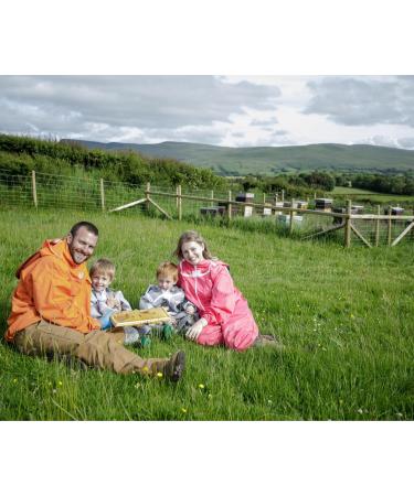 Gwenyn Gruffydd - British Blossom Honey 3kg Bulk Catering Tub - 100% Pure Natural Unpasteurized Raw Honey - Bulk Honey 3kg - Unheated - Gluten Free - Premium Honey from Non-Sugar Fed Bees UK - Buy Online on GoSupps.com