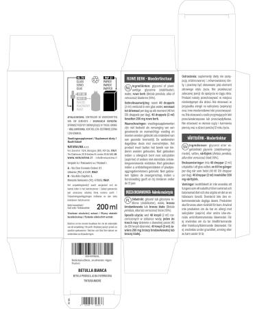 Bouleau blanc ou Bouleau verruqueux (Betula pendula alba ou verrucosa) feuilles Teinture M re sans alcool Naturalma - Extrait liquide gouttes 200 ml - Compl ment alimentaire - V g talien ou v gan Sans alcool 200 ml (Lot de 1) - Buy Online on GoSupps.com