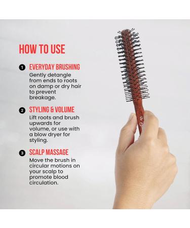Buy The Shave Factory Static-Free Round Wooden Styling Brushes | Professional Salon & Home Use | Brown Model 39 - Long-Lasting Shine - Buy Online on GoSupps.com