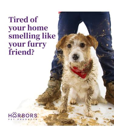 Harbor's Pet Cologne (Baby Powder) - Refreshing Scent for Your Pet - Buy Online on GoSupps.com