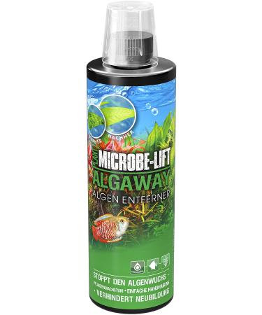 Microbe -Lift Algaway - 473 ml - algae destroyers - fast & effective algae fighting for freshwater aquariums prevents new formation safe for fish and plants 473ml (16Oz) - Buy Online on GoSupps.com