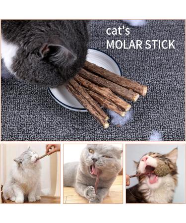 Newoutset 33 Pcs Cat Catnip Sticks Cat Catnip Chew Toys Natural Silvervine Matatabi Catnip Sticks Toys Cat Kitten Teething Toys Sticks for Cat Kitten Teeth Cleaning Including 3 x Cat Mouse Toy - Buy Online on GoSupps.com