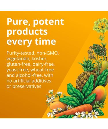 Gaia Herbs Floradix Magnesium Liquid - Herbal & Mineral Supplement 8.5 fl oz - Buy Online on GoSupps.com