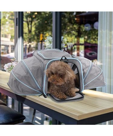 Petsfit Expandable Cat Carrier Airline Approved Portable Travel Washable Carrier - Light Grey (S 16x10x9) - Buy Online on GoSupps.com
