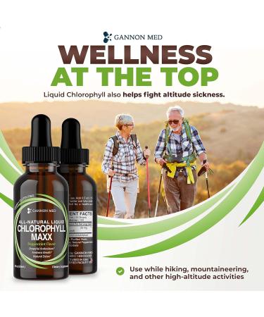 GANNON MED Chlorophyll Maxx - Liquid Chlorophyll - 2oz - Chlorophyll Liquid Drops - Chlorophyll - Internal Deodorant - All Natural Liquid Chlorophyll - Energy Boost - Helps w/Digestion - Mint - Buy Online on GoSupps.com