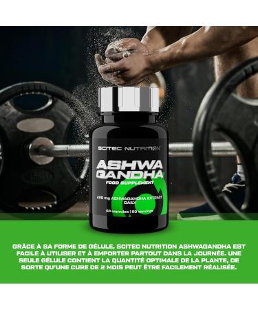 Scitec Nutrition Ashwagandha | Ashwagandha Root Extract | To support your immune system and your optimal stress level 60 capsules - Buy Online on GoSupps.com