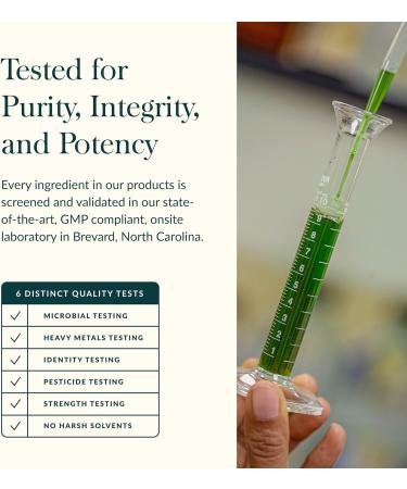 Gaia Herbs Berberine & Milk Thistle - Milk Thistle & Berberine Supplement with Ginger Root - Supports Liver Health* - Vegan Gluten-Free Dairy-Free Non-GMO Project Verified - 60 Capsules - Buy Online on GoSupps.com