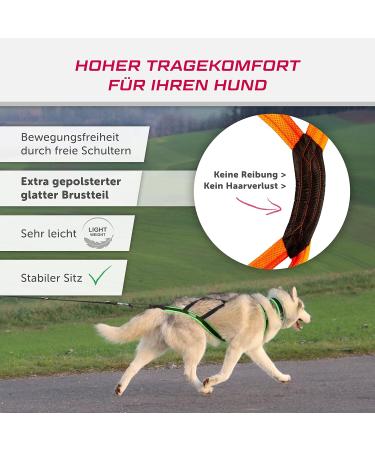 LASALINE XL Dog Harness X Back - Ideal for Canicross Dogscooter Bikejoring & Sled in Black Neon Orange - International Shipping Available - Buy Online on GoSupps.com