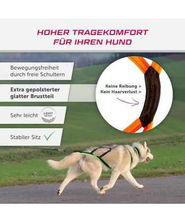 LASALINE Dog Harness X Back - Ideal for Canicross Dogscooter & Bikejoring | Black Neon Orange - Buy Online on GoSupps.com
