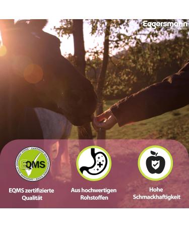 Eggersmann Delicious Raspberry Bricks for Horses & Ponies - 1 kg Treats | Premium Horse Snacks - Buy Online on GoSupps.com
