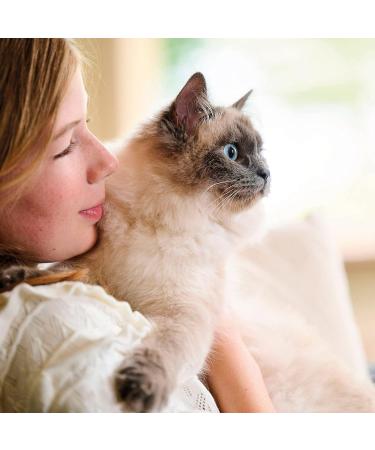 Beaphar Fresh Breath Anti-Plaque Spray | 150ml for Dogs & Cats | Dental Care to Combat Bad Breath & Tartar - Buy Online on GoSupps.com