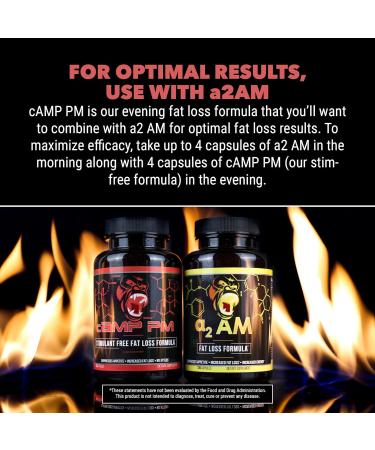 Gorilla Mind Camp PM Fat Burner Capsules - Stimulant-Free Formula for Fat Loss and Appetite Suppression (120 Capsules) - Buy Online on GoSupps.com