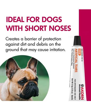 Veterinary-Approved Akorn Artificial Tears for Cats and Dogs | Soothes Dry & Irritated Eyes | 3.5g Tube - Buy Online on GoSupps.com