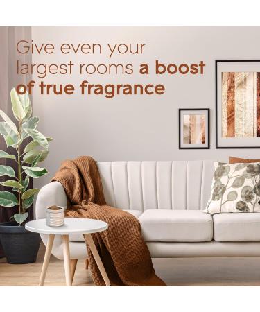 Glade Wax Melts Air Freshener and Odor Eliminator Scented Essential Oils for Home and Bathroom Cashmere Woods 6 Count Cashmere Woods 66 g (Pack of 1) - Buy Online on GoSupps.com