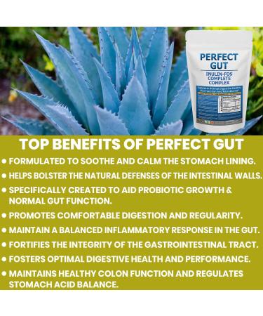 Perfect Gut: Inulin FOS Powder for Gut Health. Prebiotic Inulin. Unique Prebiotic 95% FOS Inulin Agave Fiber 2 Pound (Pack of 1) - Buy Online on GoSupps.com