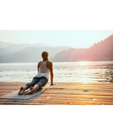 Buy 3 Sack Medox Vegan Supplements - Wild Blueberries & Black Currants - 80 mg Anthocyanins Per Capsule for Healthy Blood Vessels - International Shipping Available - Buy Online on GoSupps.com