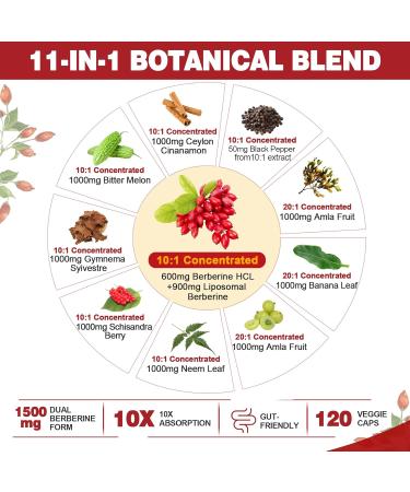 Berberine Supplement Organic 1500mg with Ceylon Cinnamon Bitter Melon Liposomal Berberine HCL Complex Supplements Immune & Digestive Support - Non-GMO Organic Vegan Berberine Capsules 120Cts 120 Count (Pack of 1) - Buy Online on GoSupps.com
