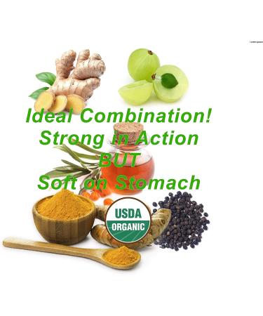 Organic Turmeric Curcumin Supplement with Vegan Omega 3 6 7 & 9 | 90 Capsules for Sensitive Stomach | Enhanced with Black Pepper, Sea Buckthorn Oil, Ginger, and Amla - Buy Online on GoSupps.com