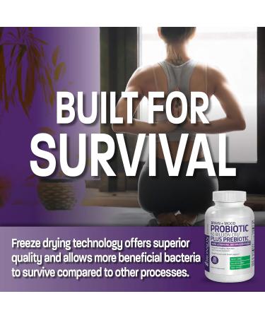 Bronson Brain + Mood Probiotic 50 Billion CFU Plus Prebiotic with L-Theanine, Bacopa and Rhodiola Non-GMO, 60 Vegetarian Capsules - Buy Online on GoSupps.com