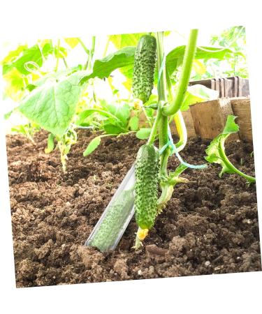 Milisten 16 Pcs Shaped Growth Mold Star Cucumber Shaper Star Shaped Cucumber Vegetable Growing Molds Cucumber Growing Decor Growing Medium Fruit Cucumber Mold Chocolate Accessories Plastic As Shownx4pcs mediumx4pcs - Buy Online on GoSupps.com